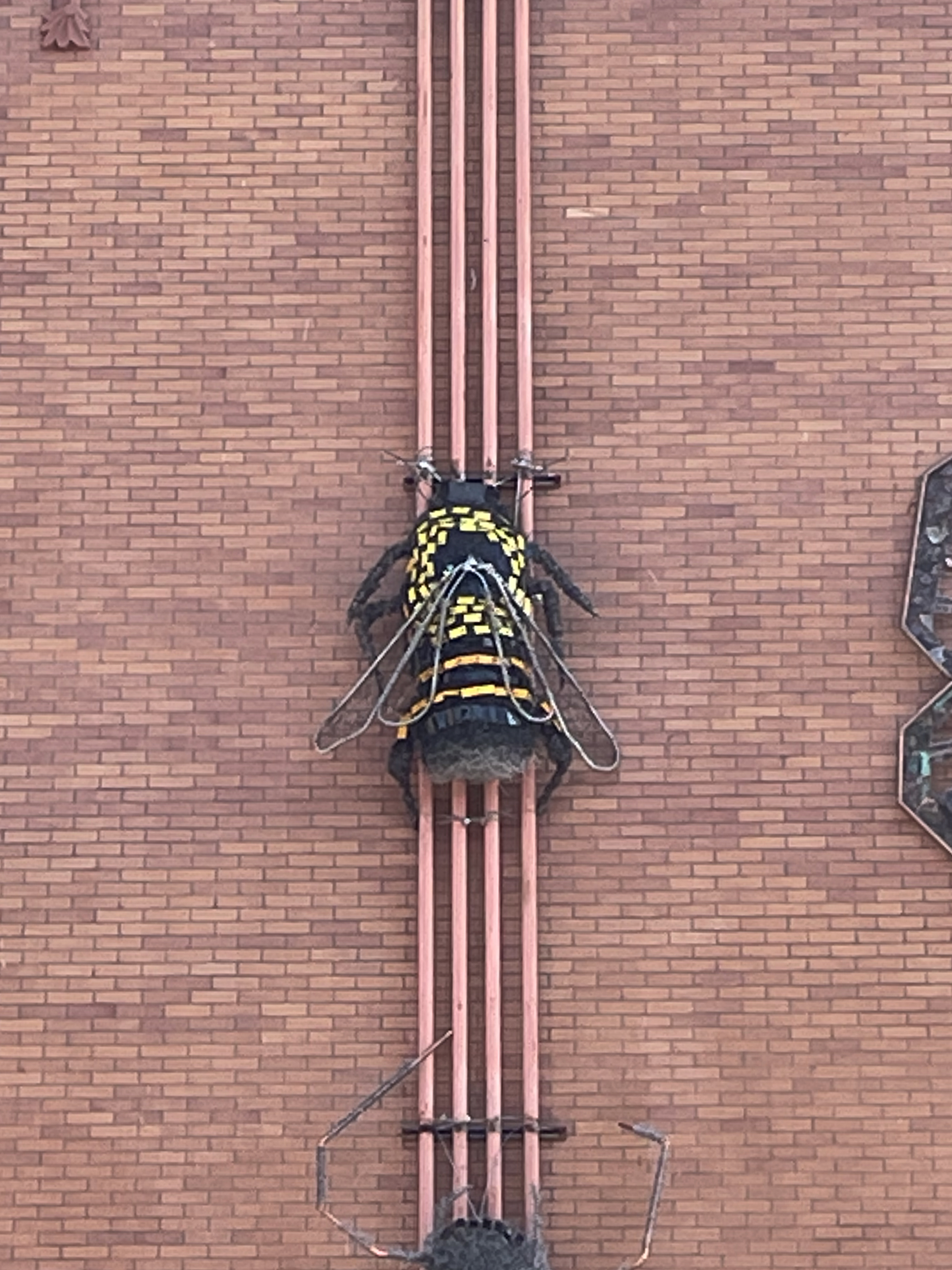 Humble Bee